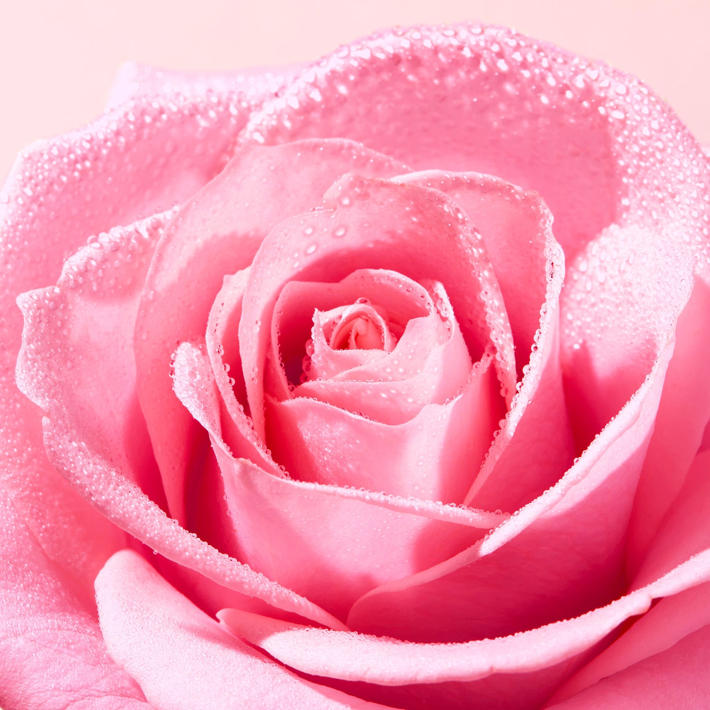 NUXE Very Rose Cleansing Delicious Cleansing Foam (150ml)